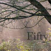 Fifty